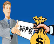 知識產(chǎn)權(quán)